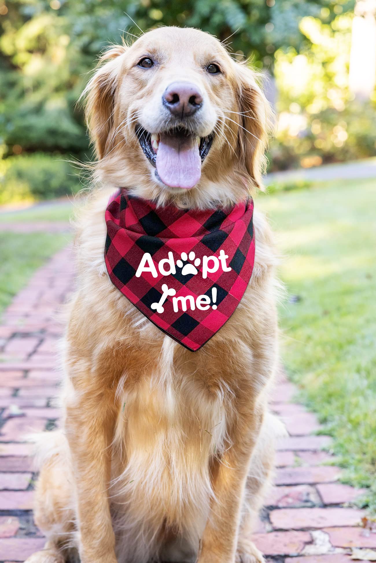PTZIZI Adopt Me Red Plaid Cotton Pet Bandana for Small Medium Large Dogs - Adjustable Triangle Dog Scarf for Birthday Parties, Gender Reveal Photos & Pet Lovers Gifts | Perfect for Dog Accessories, Costume Parties & Holiday Pet Photography