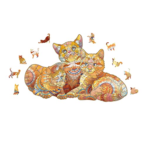 Orange Cat