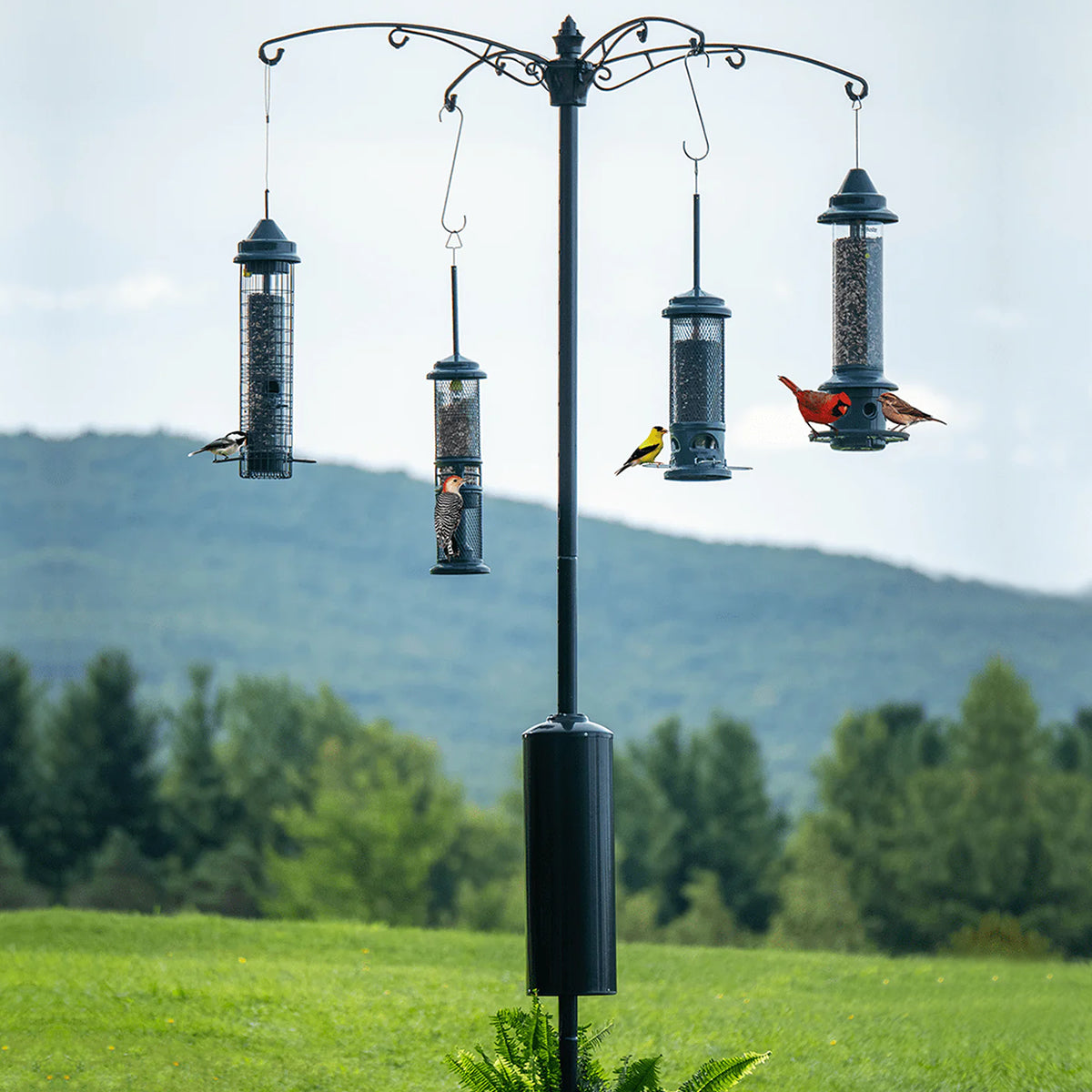 Brome Raccoon Buster Guardian Pole System - Humane Raccoon Deterrent for Yards & Gardens | Protects Bird Feeders, Ponds & Outdoor Areas from Pests