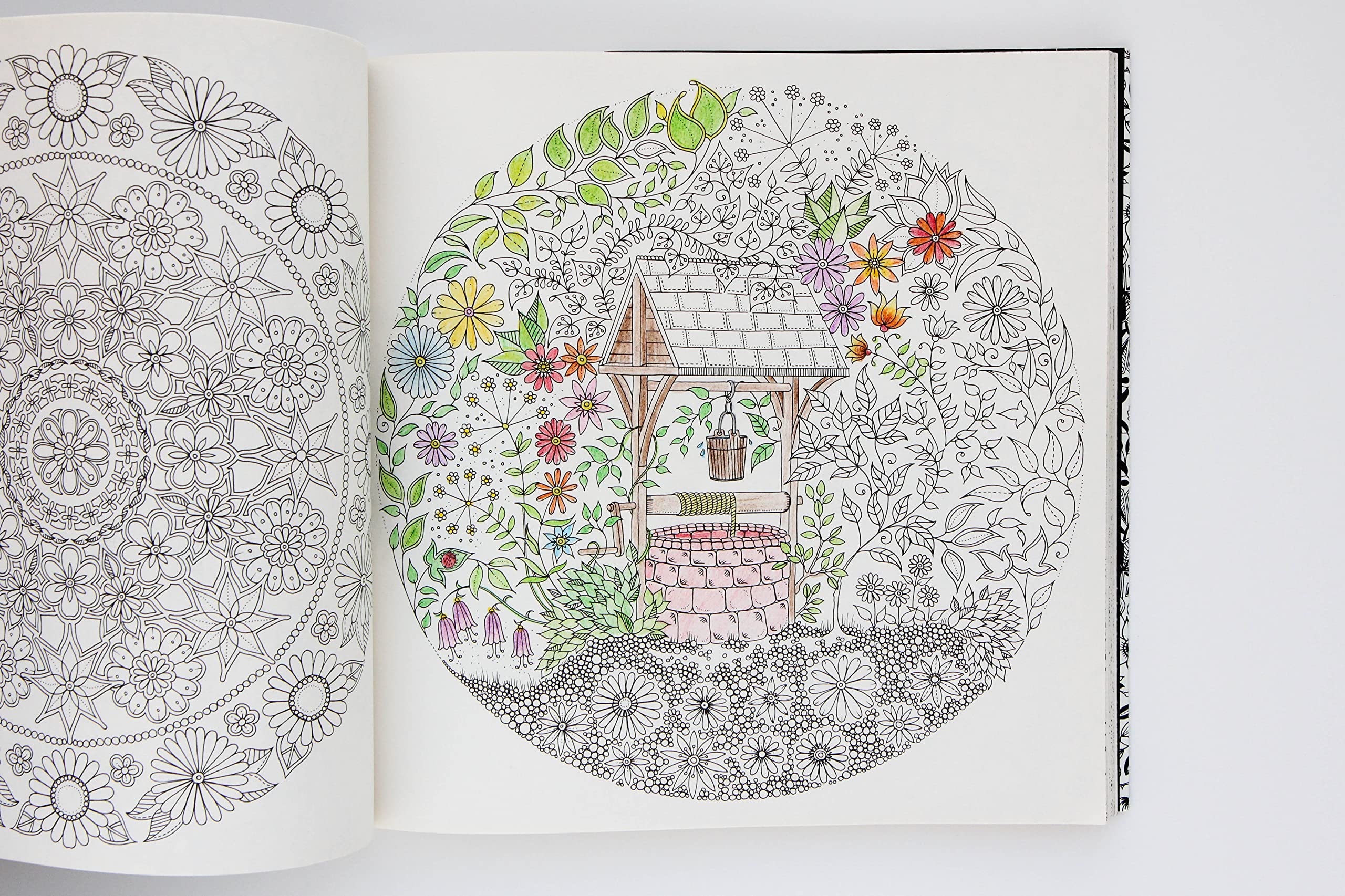 Secret Garden: Adult Coloring Book with Intricate Designs & Treasure Hunt - Perfect for Stress Relief, Mindfulness & Creative Relaxation