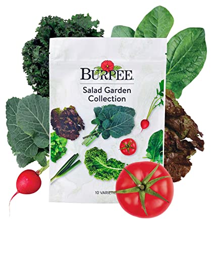 Salad Garden Collection