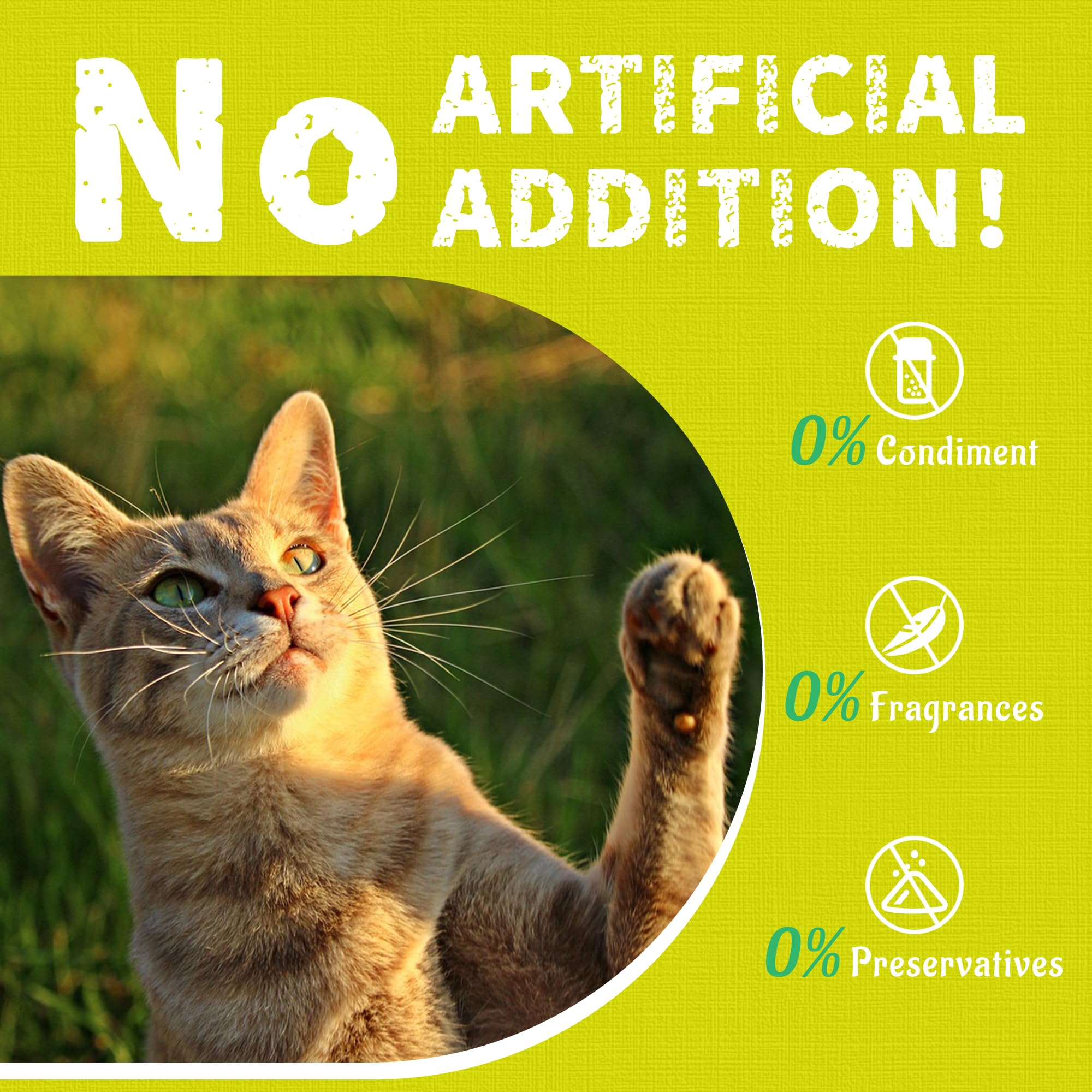 13.4oz Cat Multivitamin Crunchy Chew Treats - Immune Support, Joint Health, Skin & Coat Care, Digestive Aid - Vitamin Enriched Cat Snacks for Adult & Senior Cats - Perfect for Daily Rewards and Training