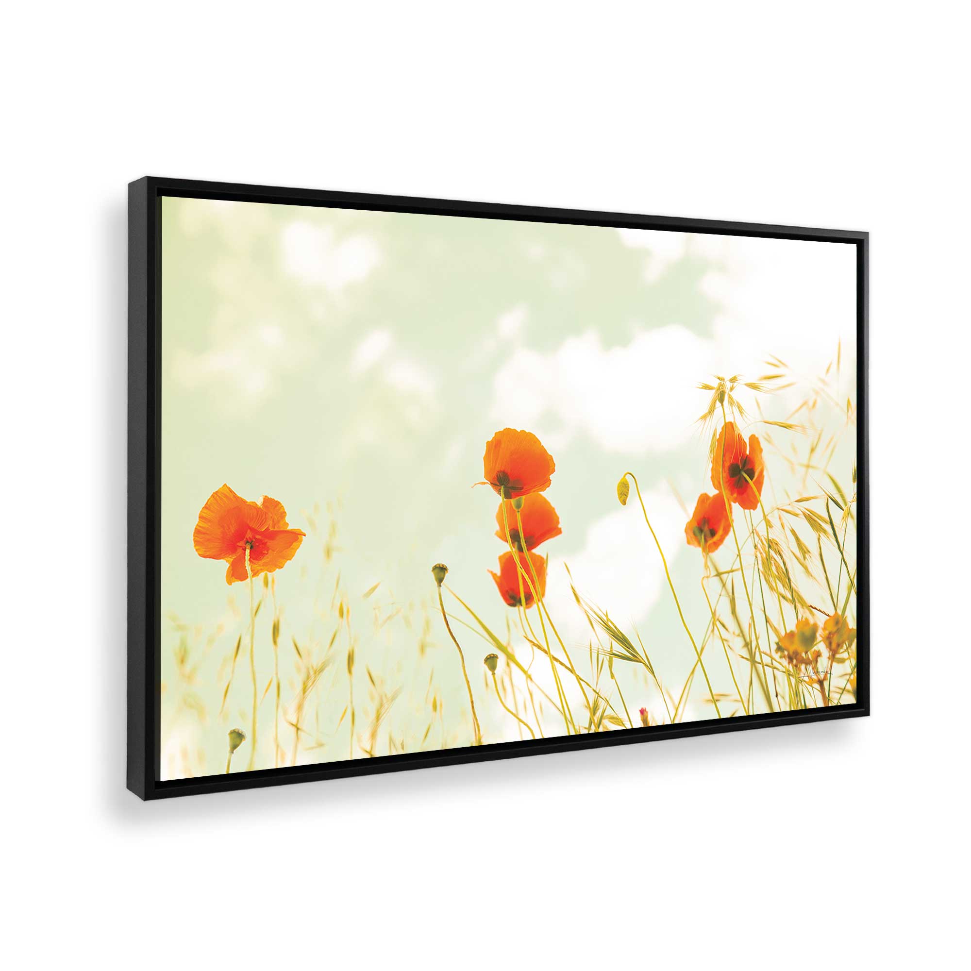 Gentle Poppy Breeze Canvas Wall Art - Floral Home Decor for Living Room, Bedroom & Office - Handmade Oil Painting Reproduction