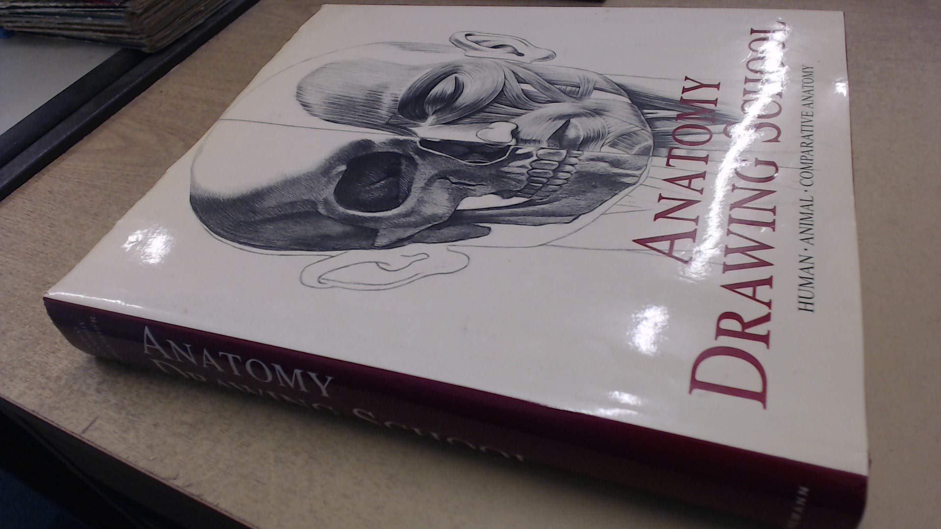 Anatomy Drawing School - Professional Human Body Drawing Course for Artists & Medical Students | Learn to Sketch Muscles, Bones & Proportions | Perfect for Art Classes, Medical Studies & Digital Illustration