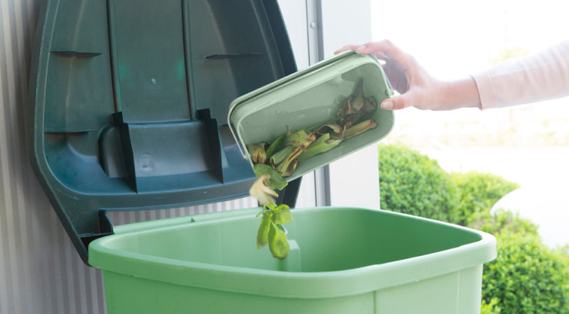 Eco-Friendly Kitchen Compost Bin - Jade or Grey Food Waste Caddy for Organic Recycling | Perfect for Countertop, Under Sink, and Sustainable Living
