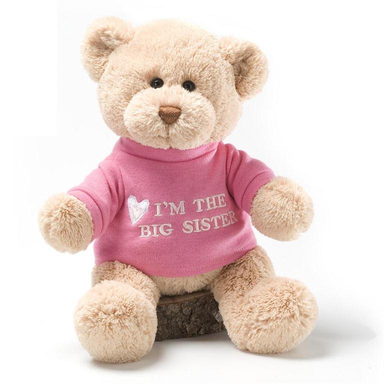 Big Sister T-Shirt - Comfortable Cotton Tee for Women - Perfect for Sibling Bonding & Family Events