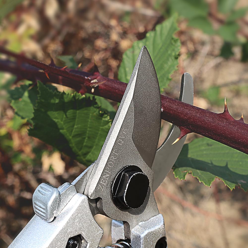 Zenport Industries QV6-3PK Professional Hand Pruner - Sharp Bypass Garden Shears for Precise Trimming (3-Pack, Red) - Ideal for Gardening, Landscaping & Plant Care