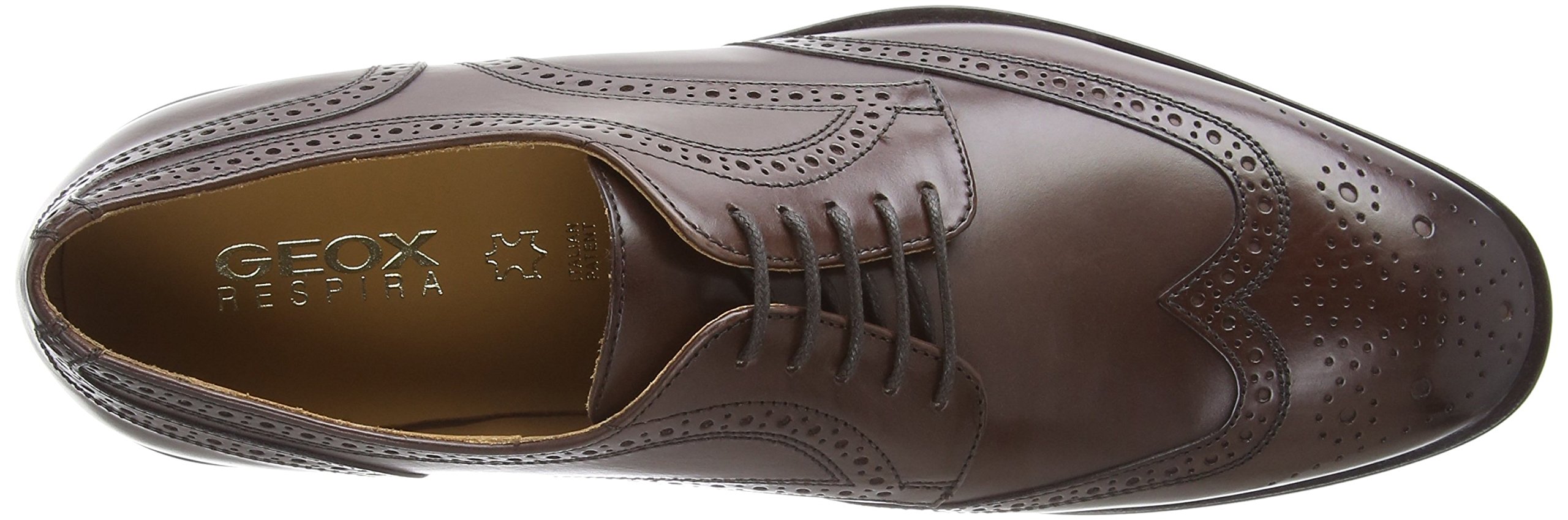 Geox Men's Brogue Shoes - Classic Leather Oxford Dress Shoes for Business & Formal Occasions | Comfortable & Stylish Footwear for Work, Weddings & Office Events
