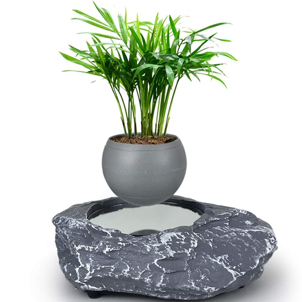 Magnetic Floating Bonsai Pot - Levitating Air Flower Planter with Creative Design for Home & Office Decor - Unique Gift Idea (Gray Trumpet) - Perfect for Zen Gardens, Modern Interior Design, and Relaxation Spaces