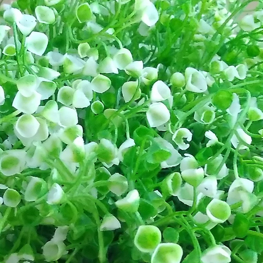 Premium Artificial Hanging Basket Plant - Large Green & White Fake Outdoor Hanging Plant for Patio, Balcony, and Garden Decor - Mynse Nice