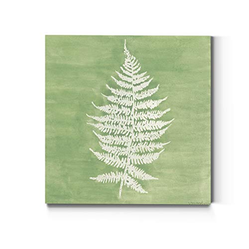 Forest Ferns 1