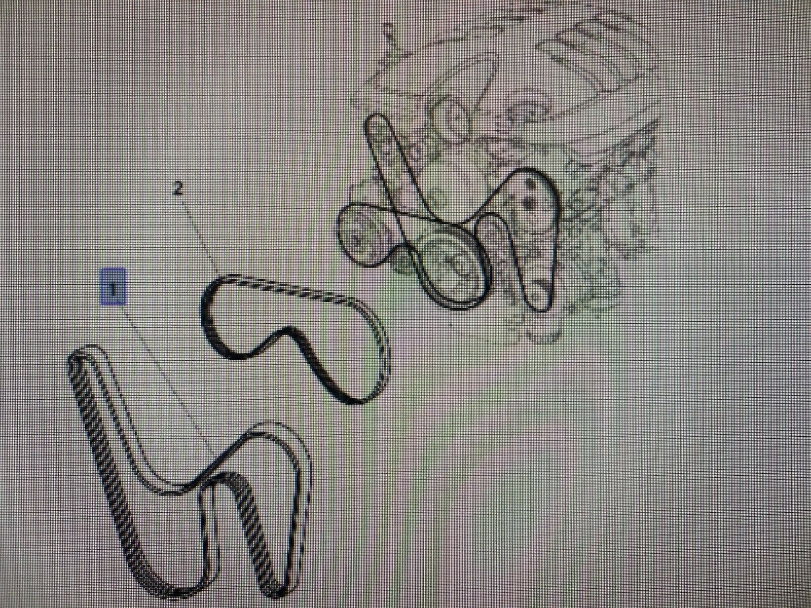 Genuine Serpentine Belt Set for Holden Commodore VE WM & Statesman - Perfect for Engine Maintenance & Performance Upgrades