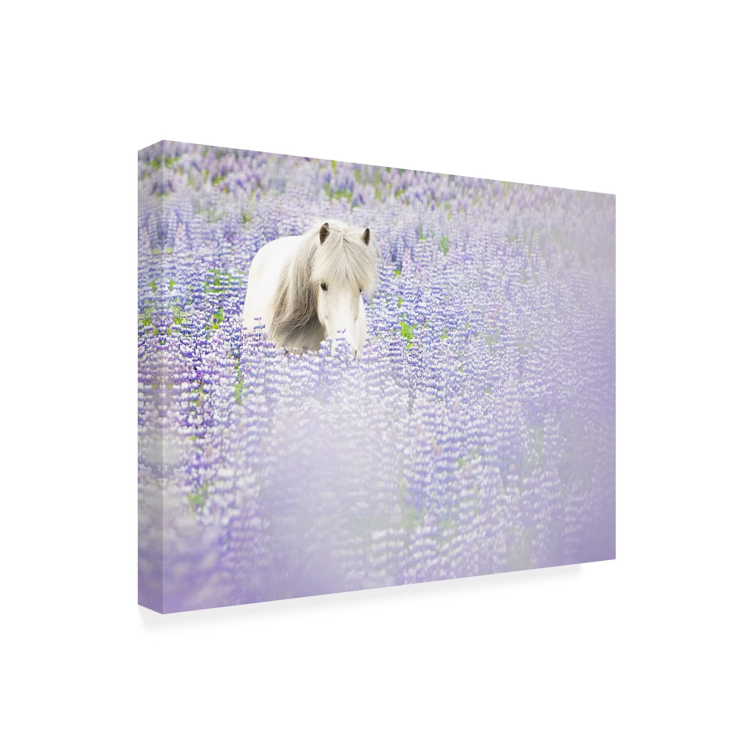PHBurchett 'Horse in Lavender II' Canvas Wall Art Print - 14x19 Inches, Floral Horse Painting for Living Room, Bedroom & Office Decor