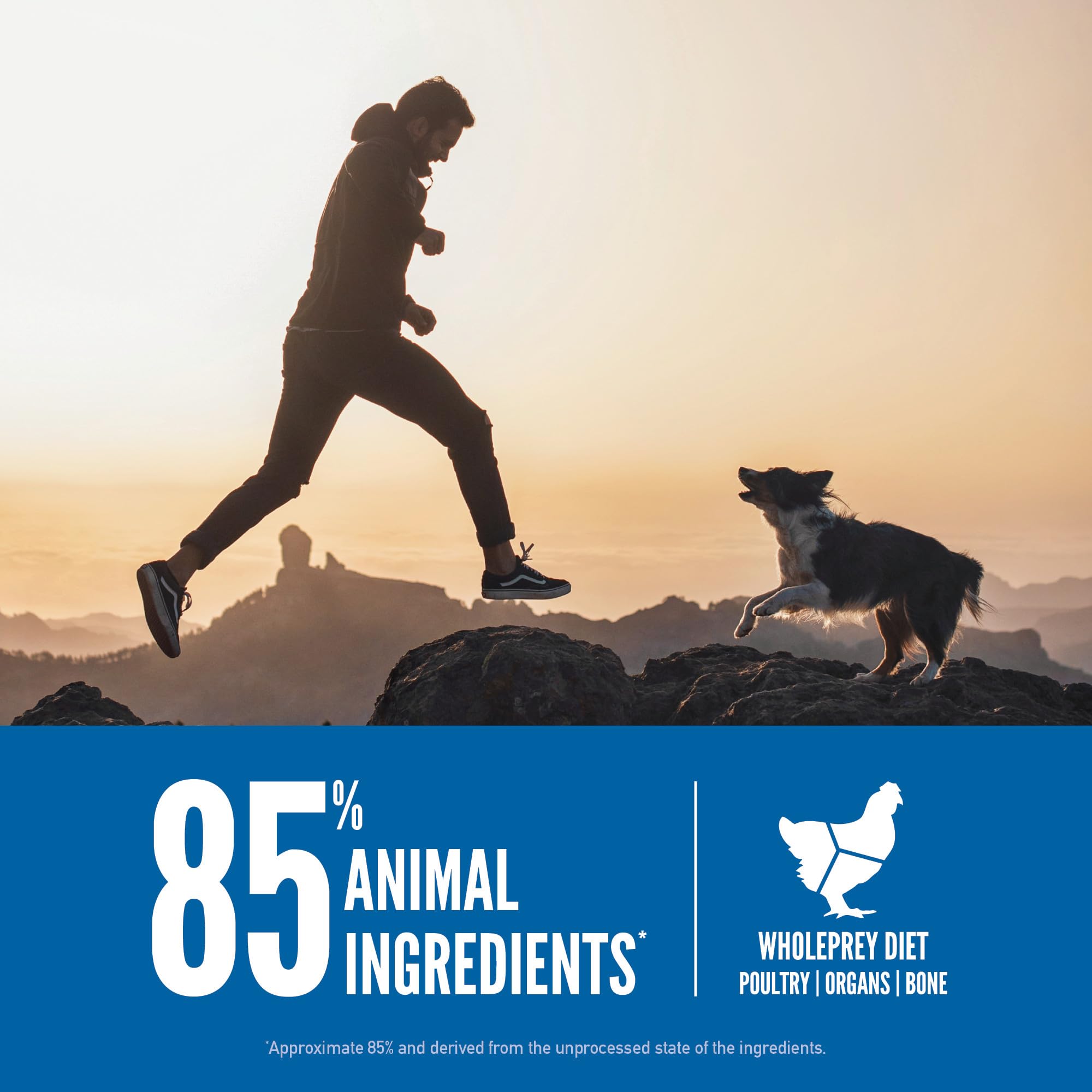 ORIJEN Original Grain-Free Dry Dog Food for All Life Stages - High Protein, Fresh & Raw Ingredients - 23.5 lb Bag - Perfect for Adult Dogs & Puppies Nutrition