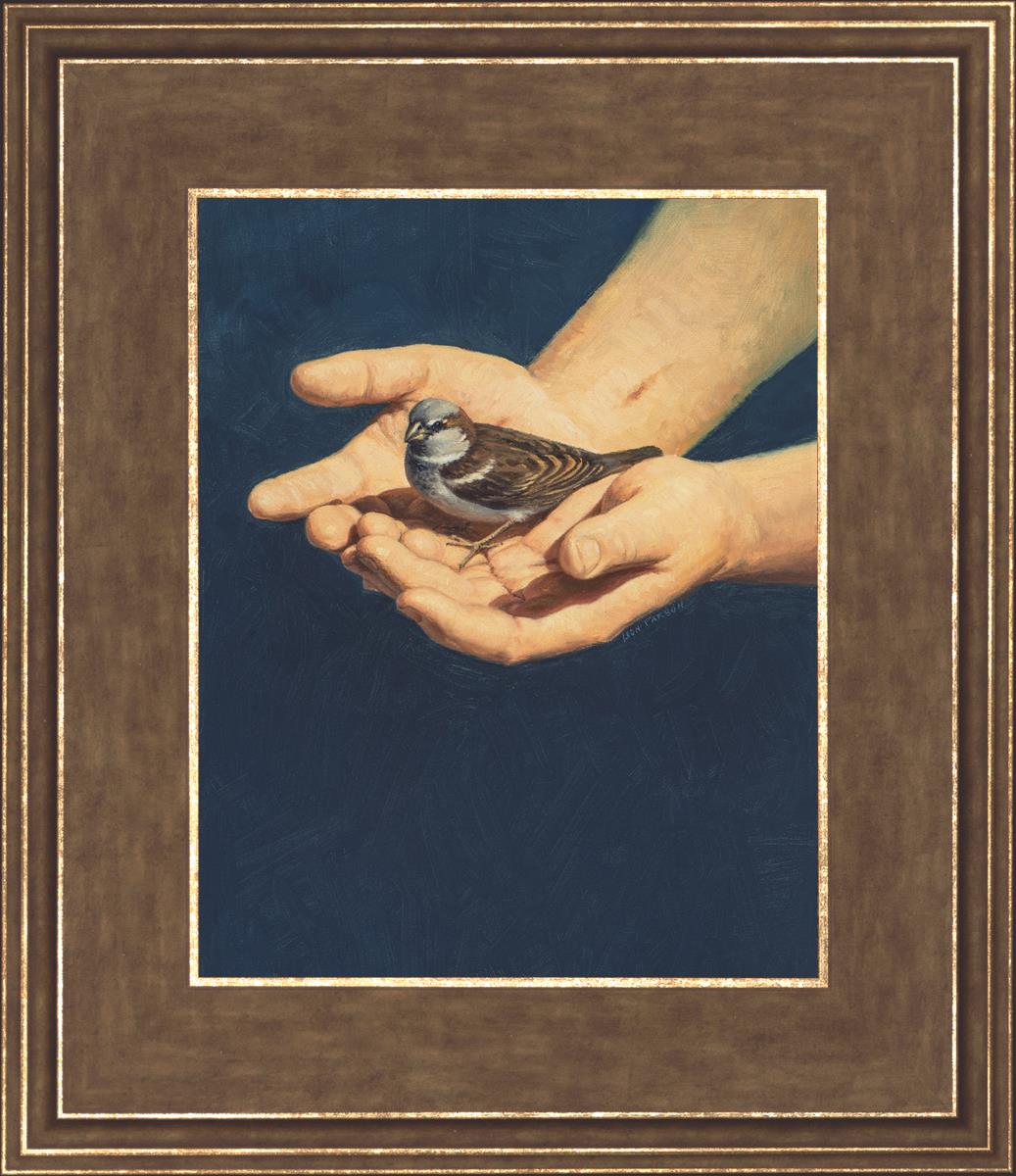 Always in His Care - Inspirational Christian Book for Faith & Comfort - Perfect for Daily Devotion, Bible Study & Spiritual Growth