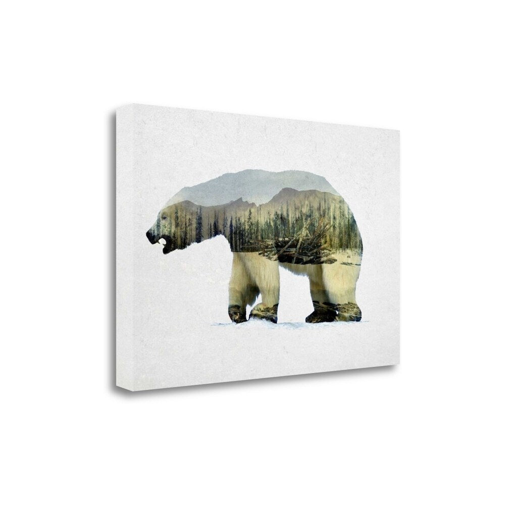 Arctic Polar Bear Fine Art Giclee Print on Gallery Wrap Canvas by Davies Babies - Ready to Hang Wall Decor for Living Room, Nursery & Office