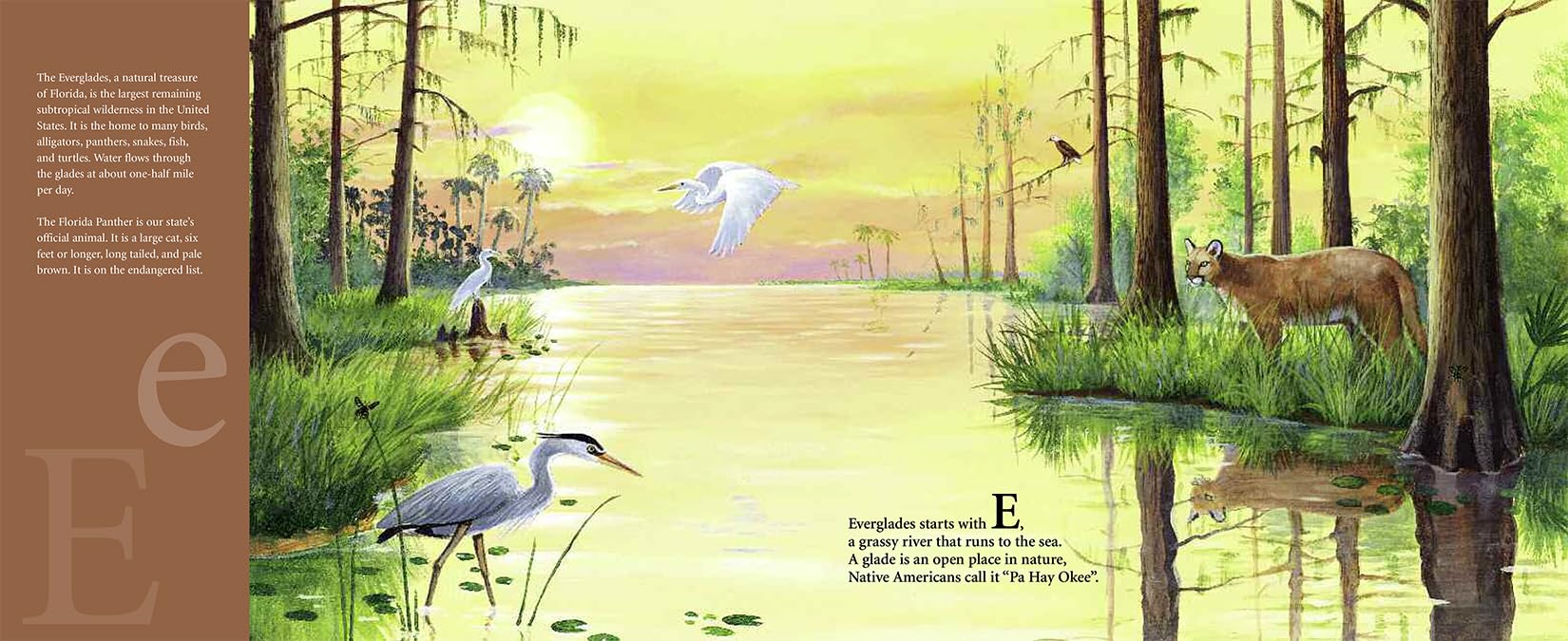 S is for Sunshine: A Florida Alphabet Book - Discover America State by State | Educational Kids Book About Florida Geography & Culture | Perfect for Classroom Learning & Homeschooling Activities