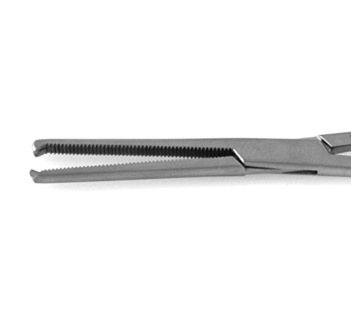 Rochester Ochsner Forceps 6.25