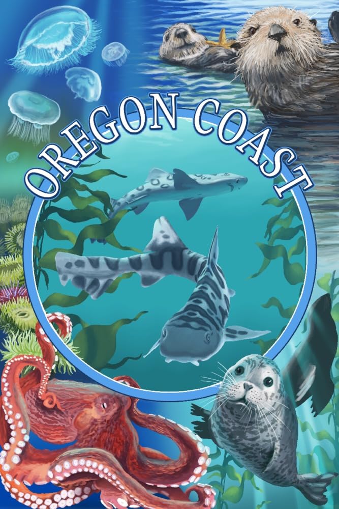 Lantern Press Oregon Coast Sealife Animals Wall Art - 16x24 Wrapped Canvas Print for Beach House Decor, Ocean Themed Living Room & Coastal Bedroom