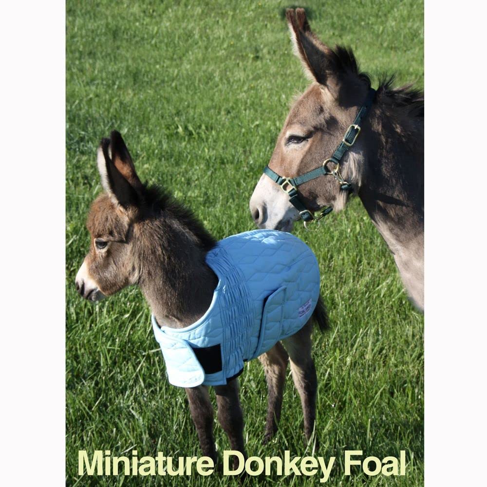 Lightweight Foal Blanket for Horses with Tekno-Dri Technology | Breathable Cotton Mini Horse Blanket for Cold Weather | Warm Miniature Horse Blanket for Foals | Perfect for Winter Stables, Trail Riding & Outdoor Activities