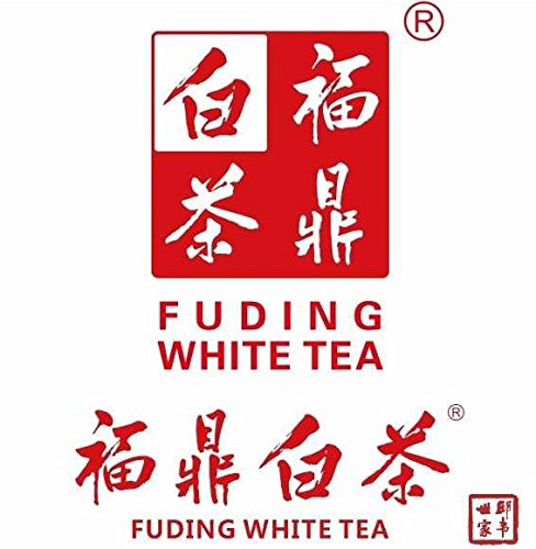 Premium Organic Silver Needle White Tea - Natural Loose Leaf Bai Hao Yinzhen - 8oz (227g) - Floral & Sweet Flavor - Perfect for Relaxation, Meditation & Afternoon Tea Time