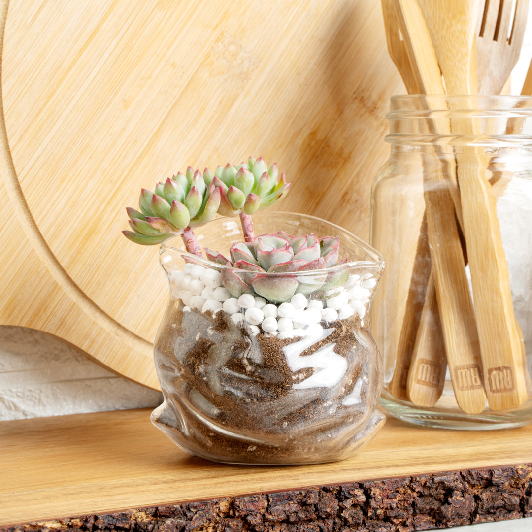 8 oz Clear Glass Bowl with Unzipped Bag - 3.25