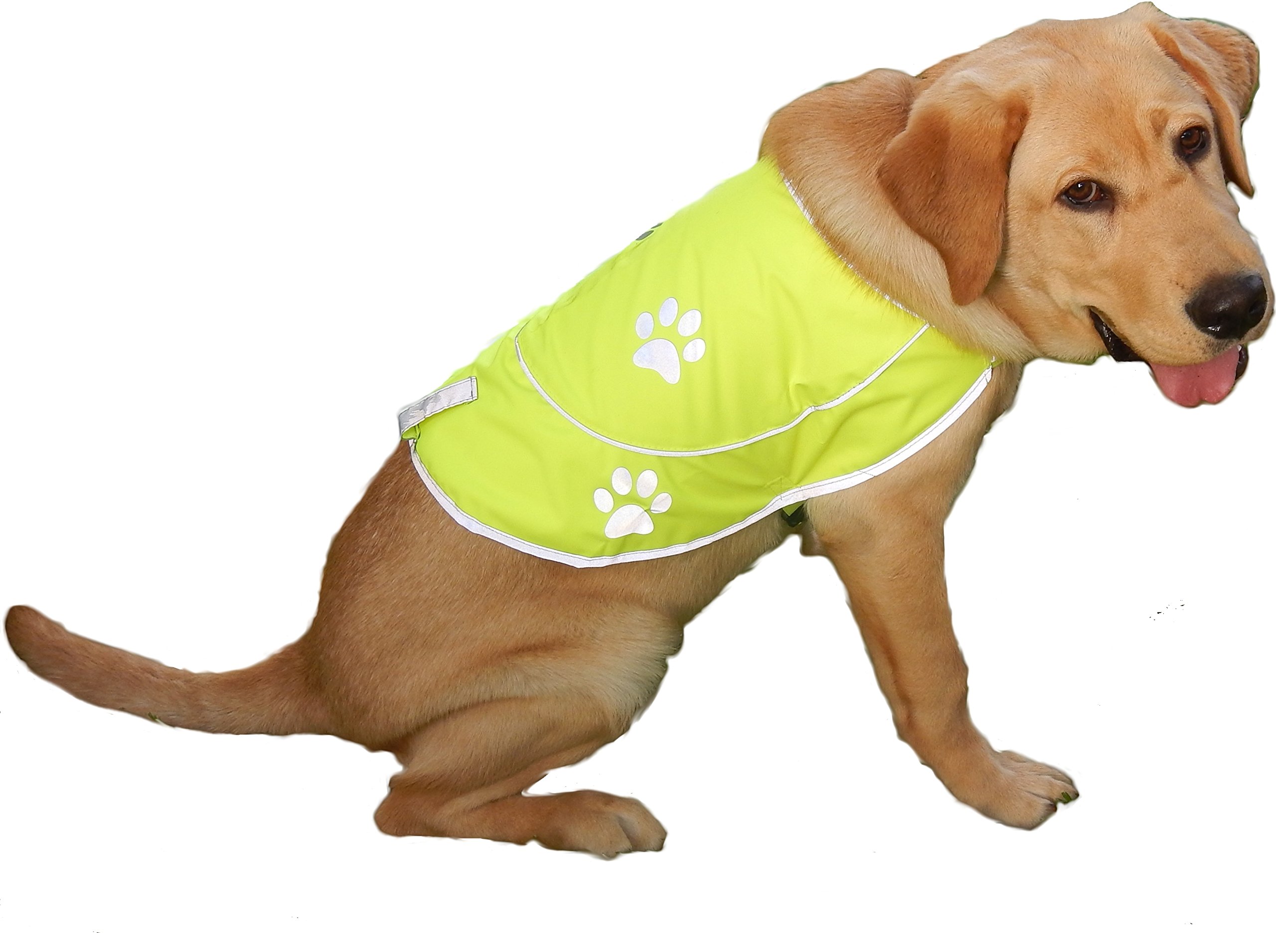 High Visibility Reflective Dog Hunting Vest - Safety Vest with Elastic Strap for Comfort & Protection | Orange Medium Size | Perfect for Night Walks, Hunting & Outdoor Adventures