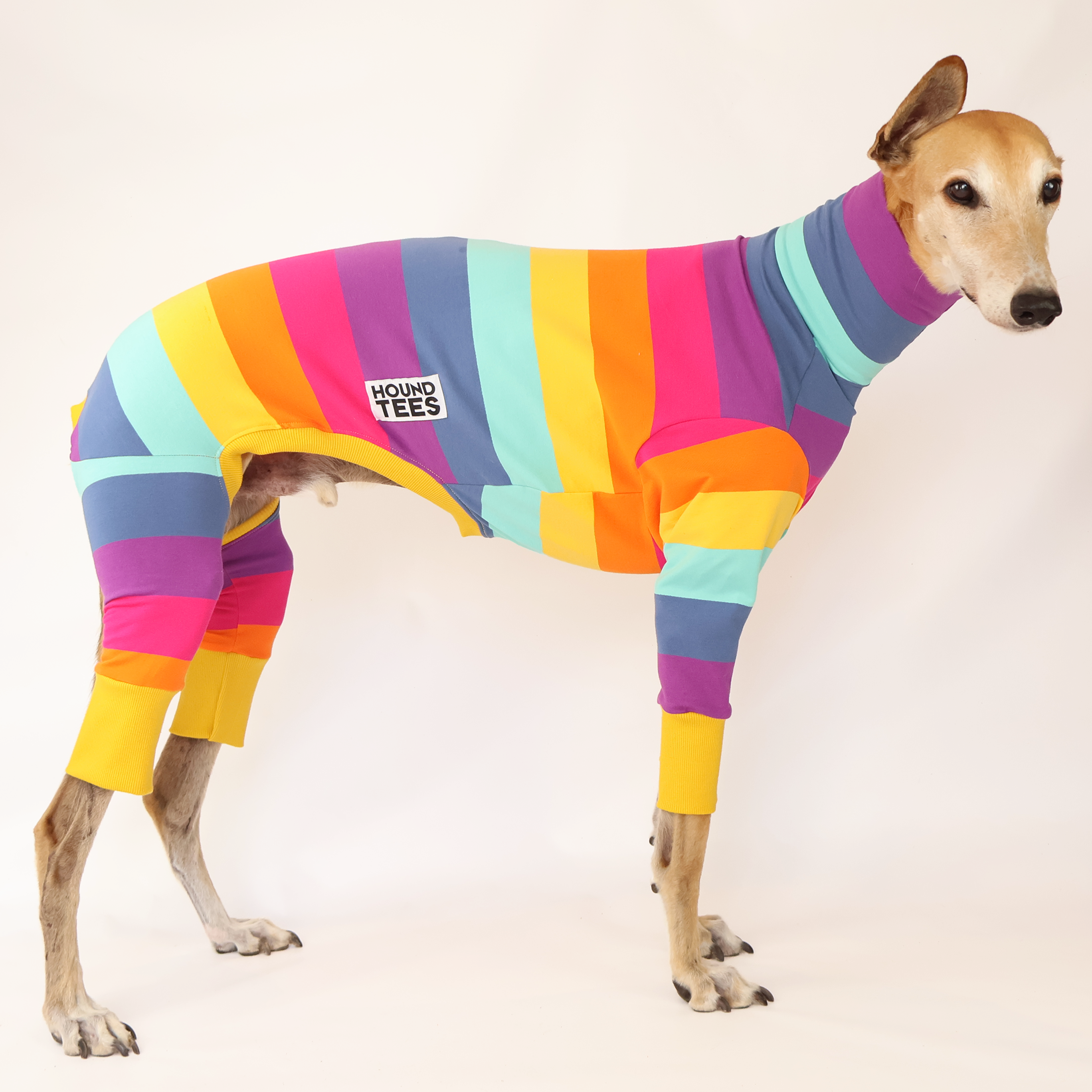 Lemon Meringue Greyhound Long Johns - Cozy Thermal Underwear for Men & Women | Perfect for Winter, Cold Weather & Outdoor Activities