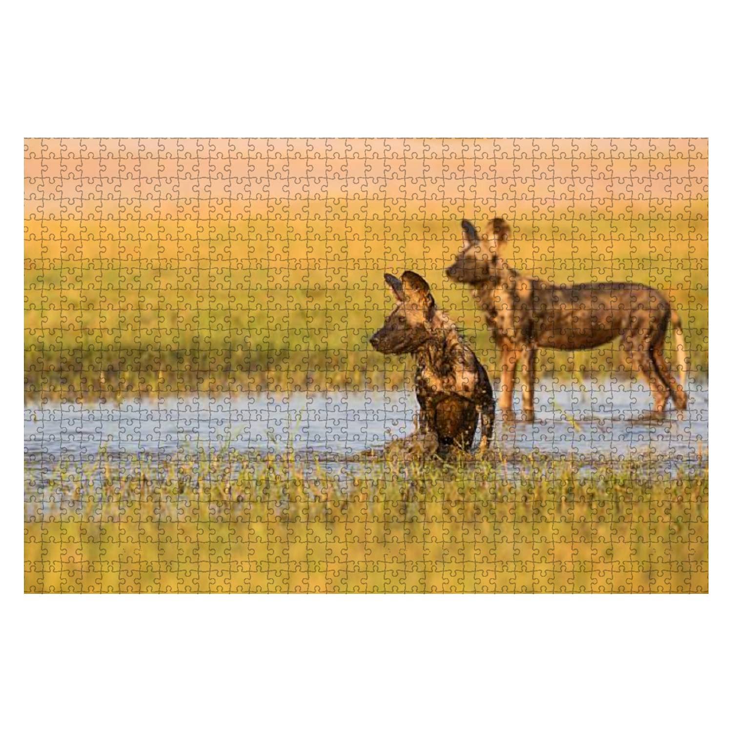 African Wild Dog Wooden Jigsaw Puzzle 1000pcs - DIY Educational Game for Kids & Adults - Home Decor & Stress Relief Gift