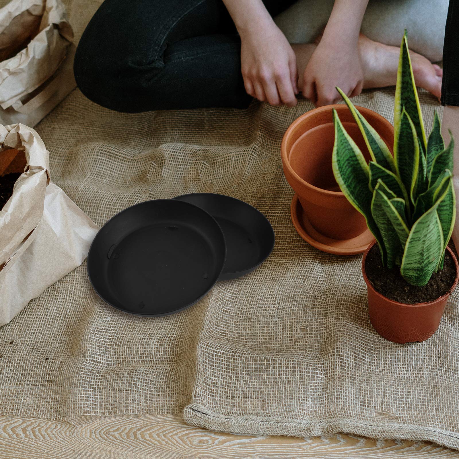 Housoutil 20-Pack Small Plant Pots with Saucers - Succulent & Flower Pot Trays for Indoor/Outdoor Plants, Home Decor, and Gardening Gifts