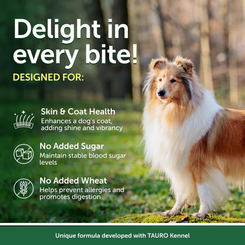 Premium Tuna & Rice Wet Dog Food for Adult Dogs - All Breeds, High Protein & Grain-Inclusive - Perfect for Mealtime, Training & Senior Dogs