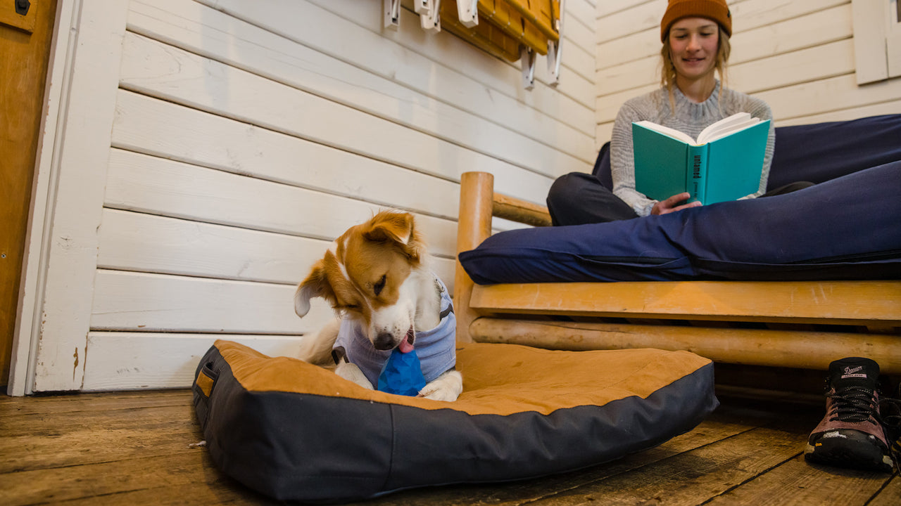 Ruffwear Gnawt A Cone® Glacial Blue Dog Chew Toy & Treat Dispenser - Durable, Interactive Play for Active Dogs - Perfect for Fetch, Training, and Outdoor Adventures