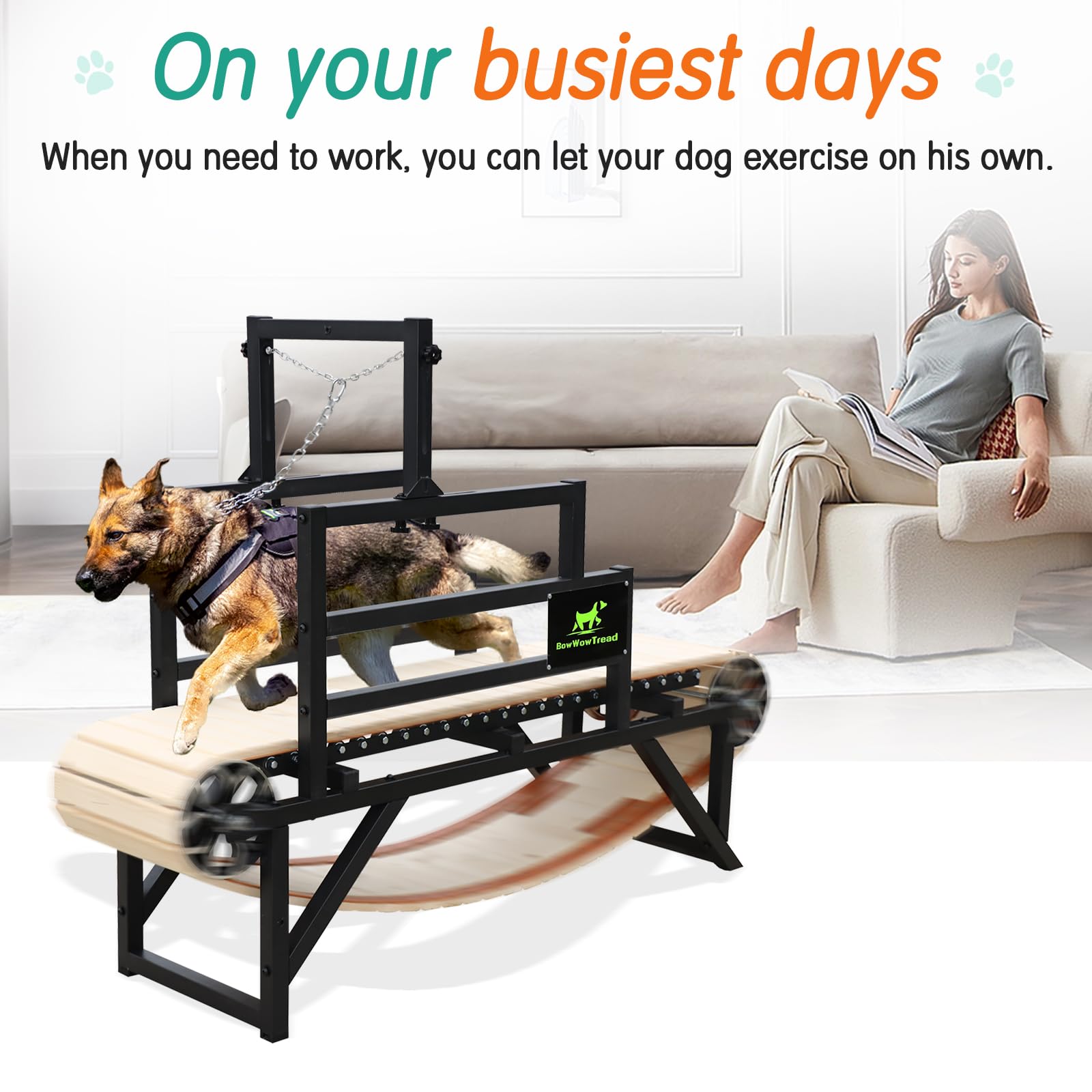 Best Dog Treadmill for Medium & Large Dogs - Indoor Pet Exercise Equipment for Home Use | Perfect for Daily Workouts & Weight Management