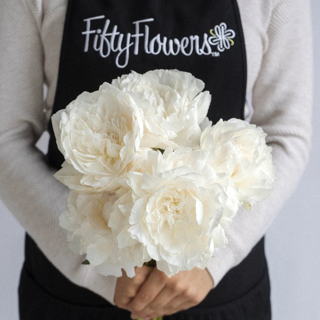 Premium Cream Peonies Bouquet - Fresh June Delivery for Weddings, Home Decor & Special Occasions