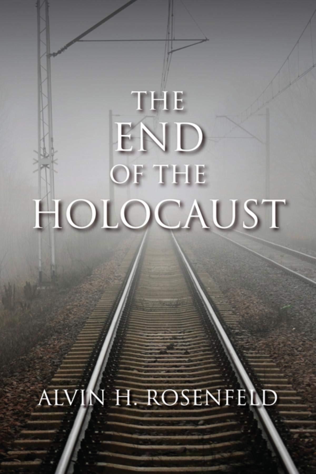 The End of the Holocaust - Historical Analysis & Impact | WWII Studies, Holocaust Education, Academic Research | Perfect for History Classes & Documentaries