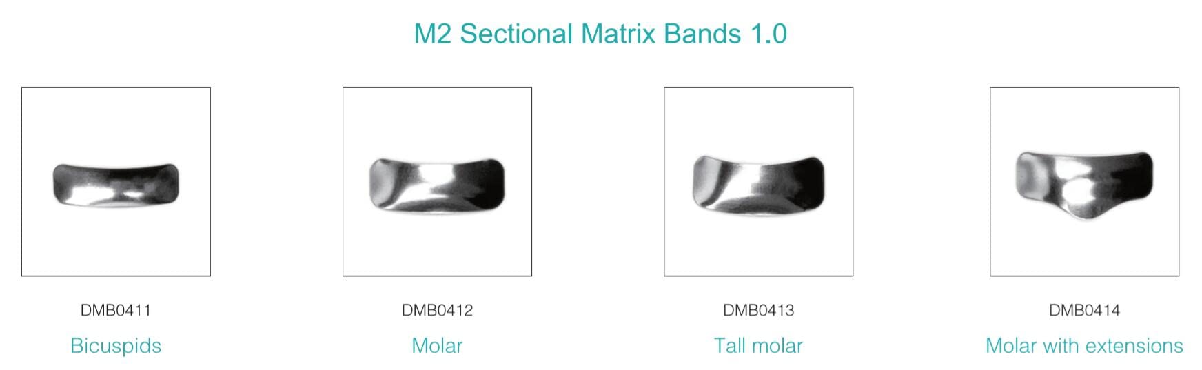 TUV CE Certified Sectional Matrix System G2 - Autoclavable Dental Kit for Composite Restorations | Perfect for Posterior Teeth Fillings & Dental Clinics