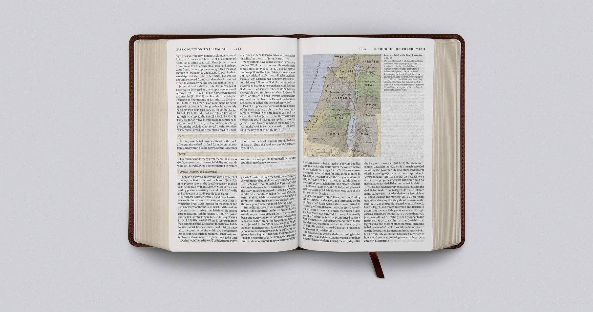 ESV Study Bible Personal Size - TruTone Leather Cover with Saddle Stitch & Ornamental Design | Compact Scripture Study for Daily Devotion, Church Use & Travel Bible