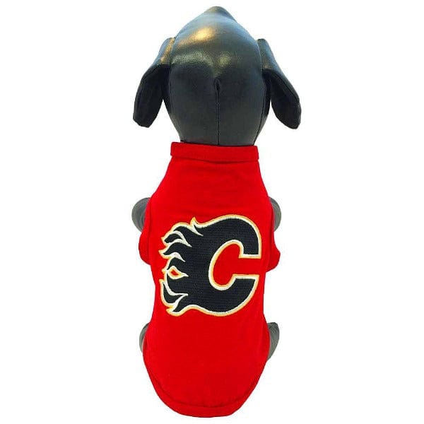 Calgary Flames NHL All-Star Hockey T-Shirt - Official Fan Apparel for Games & Casual Wear