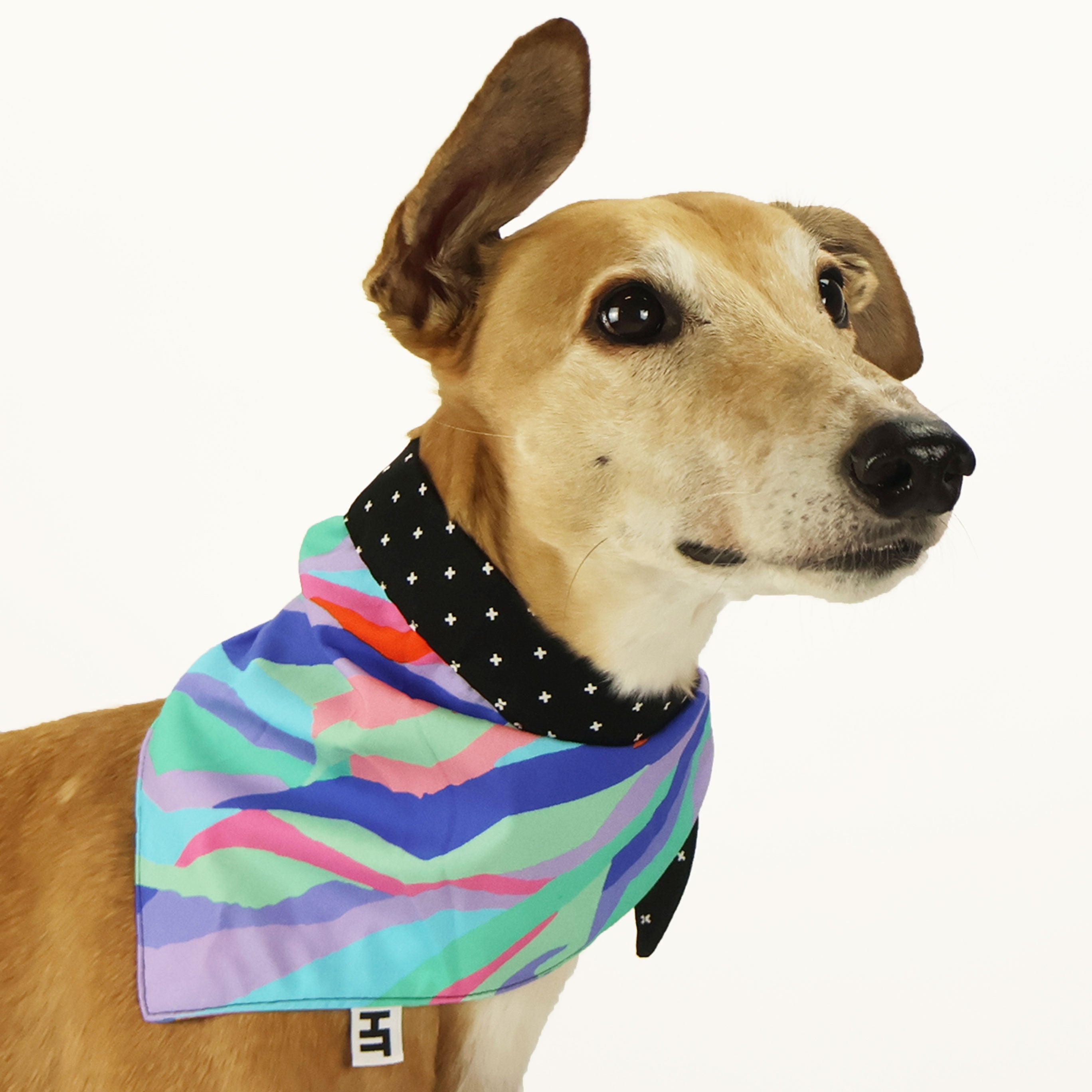 Wild Thing Bandana - Stylish & Durable Cotton Bandana for Men & Women - Perfect for Outdoor Adventures, Concerts & Fashion Accessories