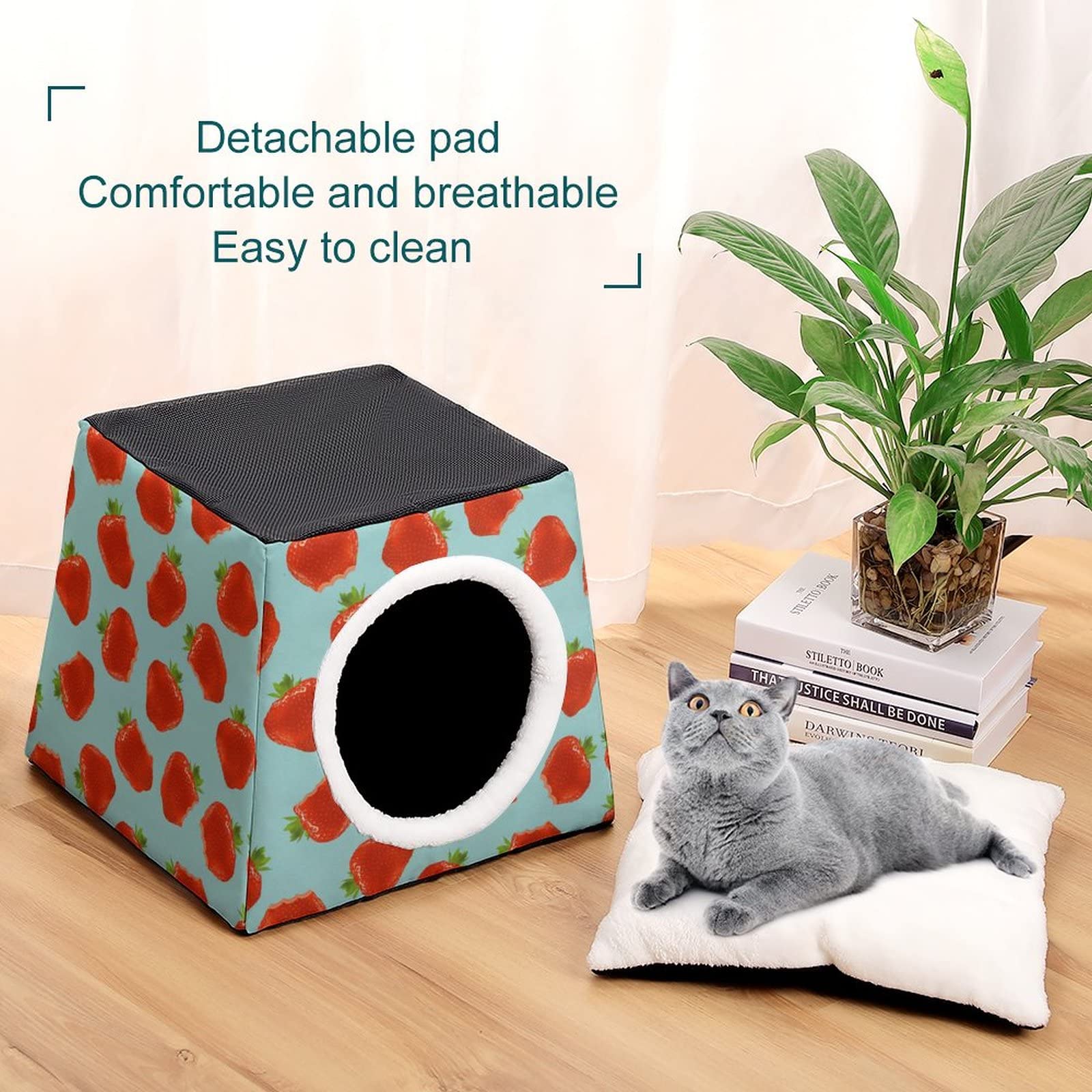 3-in-1 Foldable Cat House, Bed & Sofa with Removable Cushion - Blue Strawberry Design Scratching Toy for Indoor Cats | Cozy Pet Shelter for Napping, Playing & Relaxing