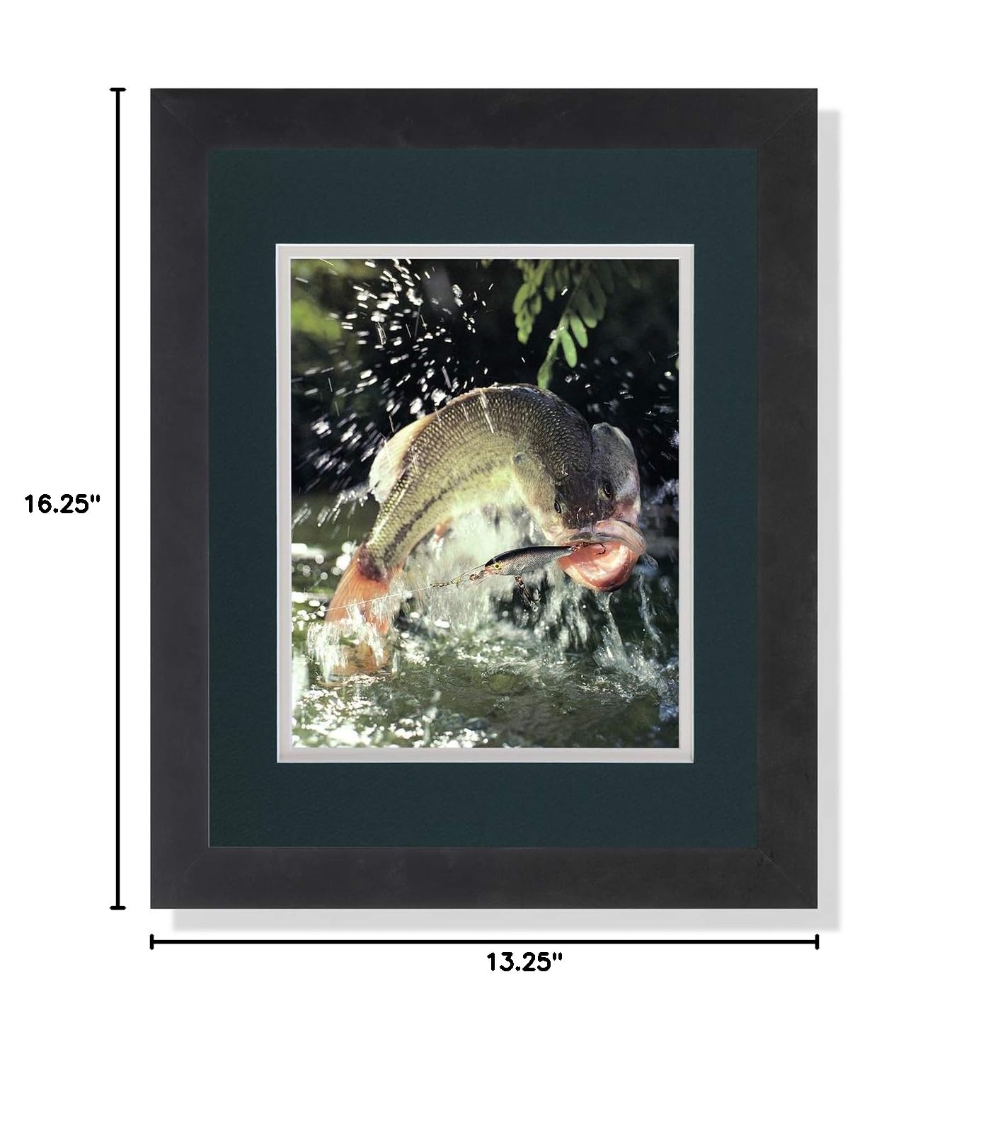 Premium Large Mouth Bass Fishing Lure Wall Art - Framed & Matted Photo Print for Home & Office Decor | Perfect for Angler Gifts & Man Cave Decor