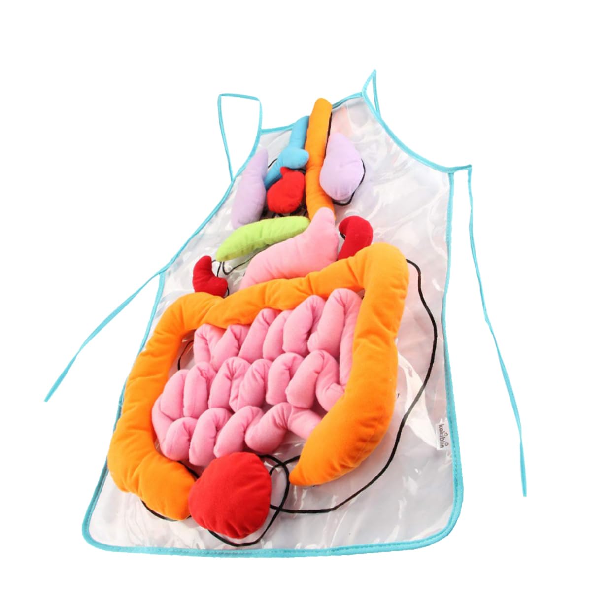 SAFIGLE 3D Human Body Anatomy Apron - Educational Organ Model Toy for Kids, Preschool Learning, Science Classroom, Halloween Costume & Role Play Dress-Up