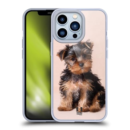 Yorkshire Terrier Puppy