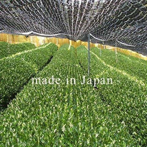 Premium Organic Japanese Matcha Green Tea Powder - Gold Grade 30g | Ceremonial Grade for Tea Ceremonies, Lattes & Baking