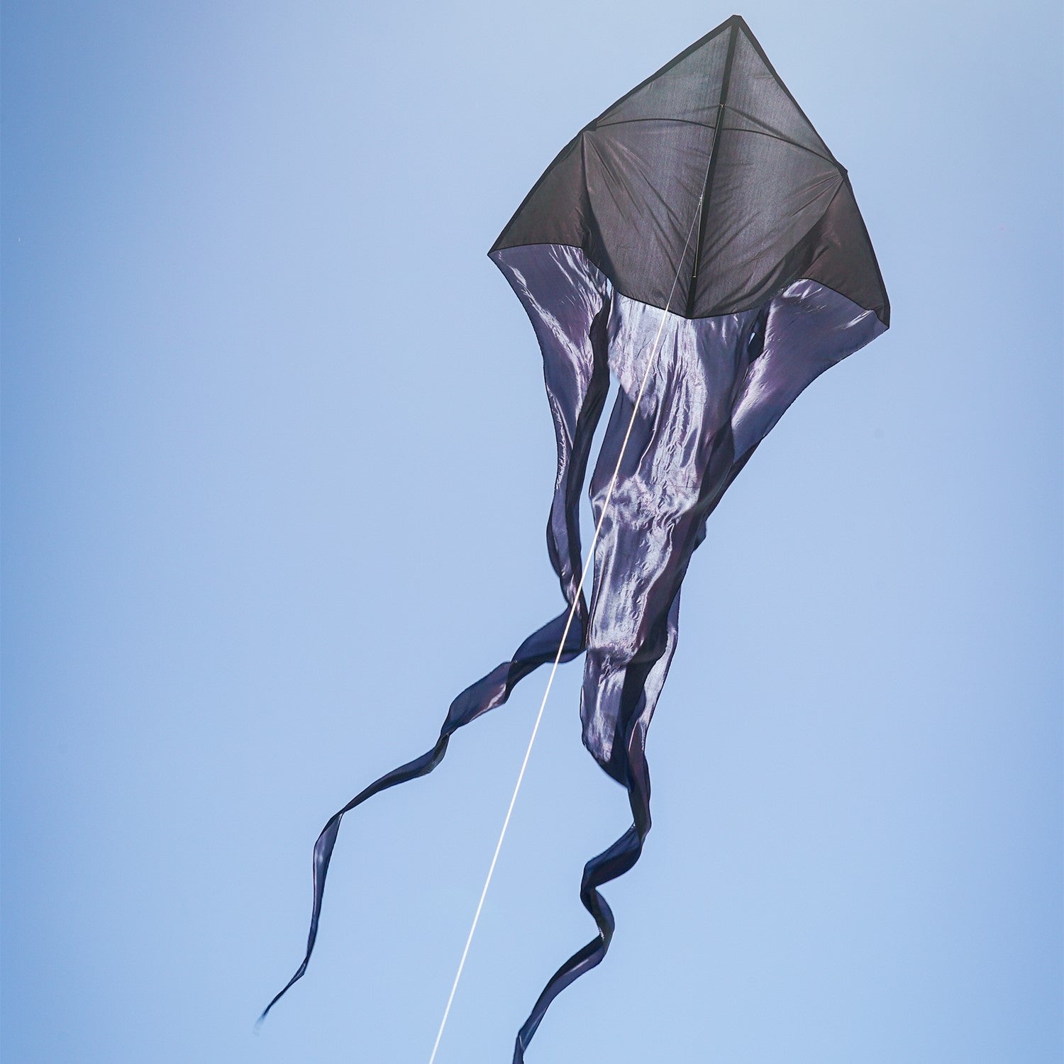 77 Wave Delta Kite - Large Black Single Line Kite for Adults & Kids - Perfect for Beach, Park & Outdoor Family Fun