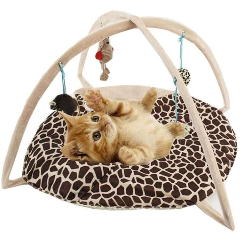 Zxiuzhen Cat Tent Activity Center with Hanging Toys - Interactive Pet Play Mat for Indoor Cats, Non-Slip Oxford Fabric Base, Safe & Durable Cat Supplies for Playtime, Training & Exercise - Perfect for Small Spaces & Apartment Living