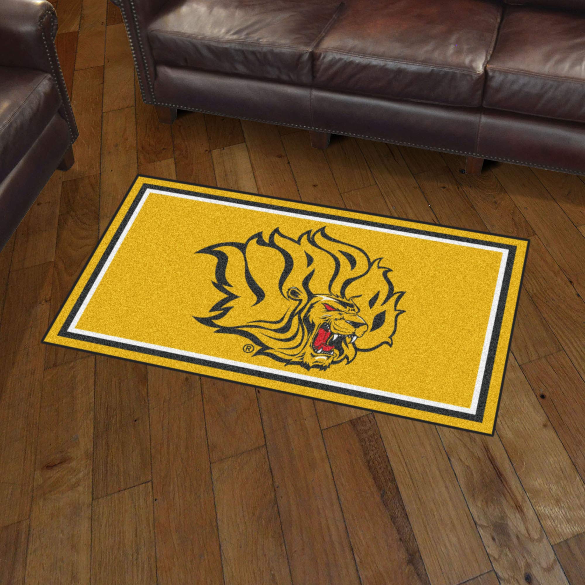 FANMATS 19764 NCAA UAPB Golden Lions 3ft x 5ft Plush Area Rug - Soft Sports Fan Carpet for Living Room, Bedroom Decor & Game Day Tailgating Mat | Durable College Team Spirit Rug for Home, Dorm & Outdoor Events
