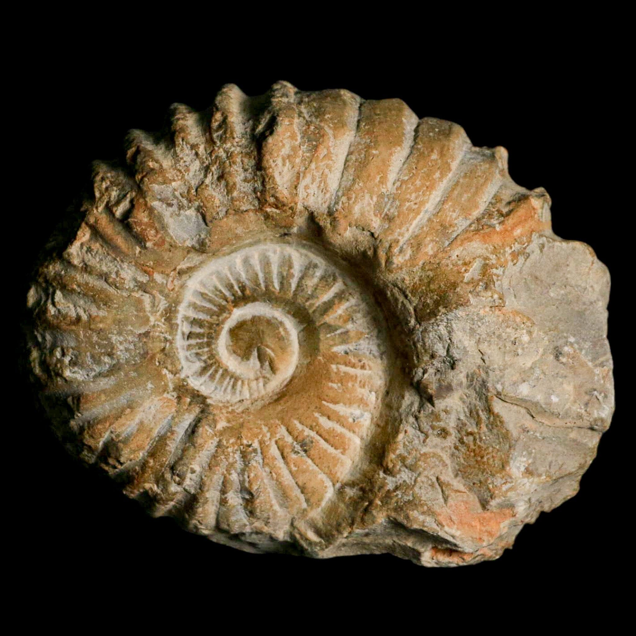 4.3