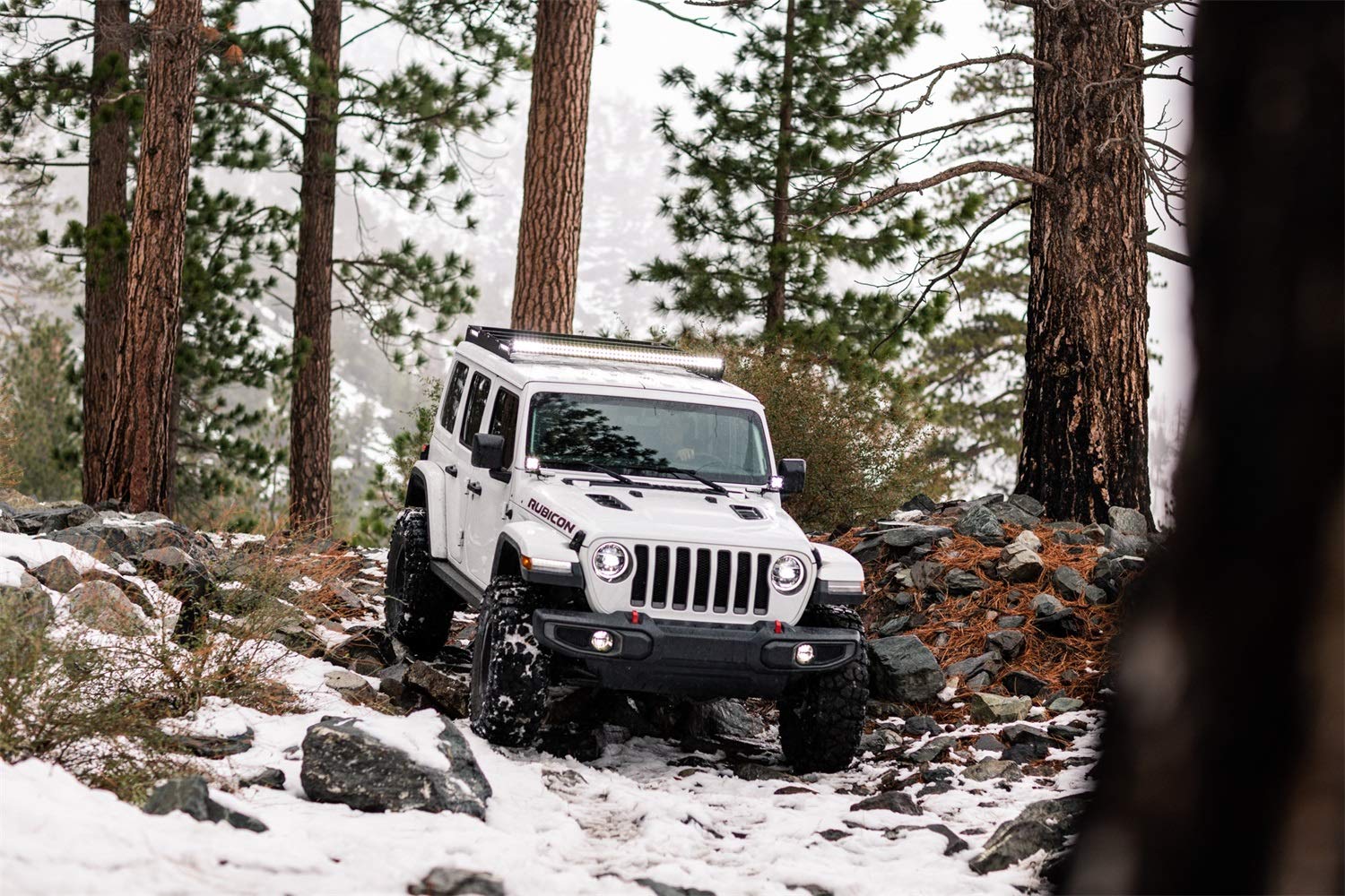 KC HiLiTES Gravity LED G4 Clear Fog Lights for Jeep JL Sahara & Rubicon, JT Overland & Rubicon - Durable Off-Road Lighting for Stock Bumper (Pair) - Perfect for Night Driving, Off-Road Adventures & Foggy Conditions