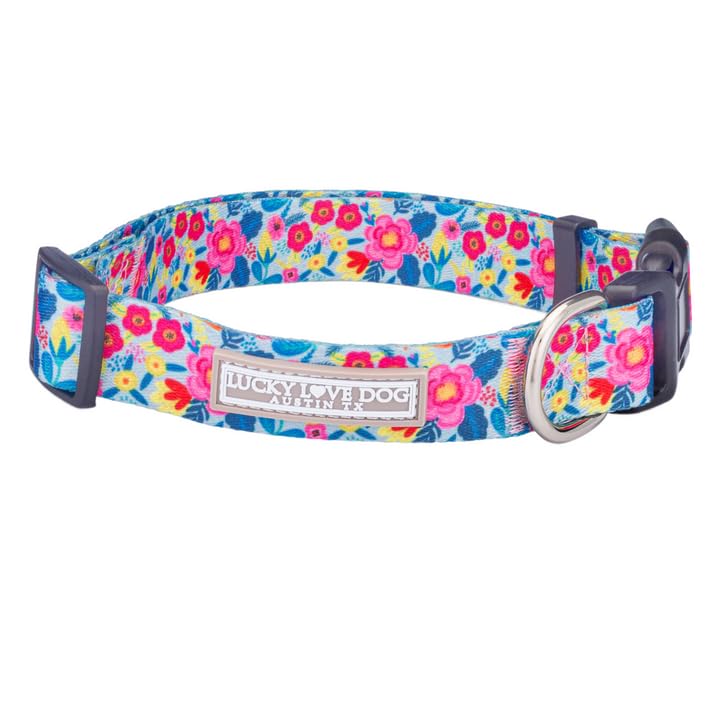 Valentina Collar Only